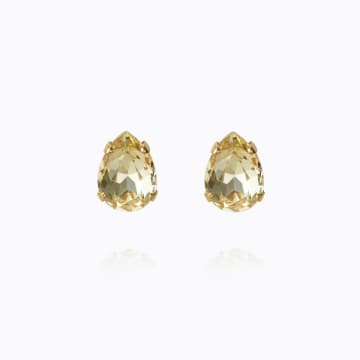 Caroline Svedbom Super Petite Drop Earrings In Gold Jonquil