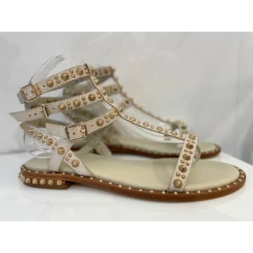 Ash Pepper Sandal In Beige And White In Neturals