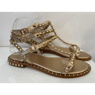 Ash Play Sandals In Gold