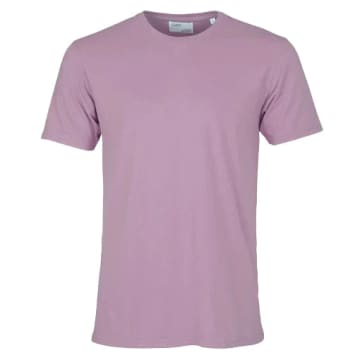 Shop Colorful Standard Classic Organic T-shirt Pearly Purple