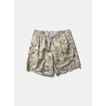 Shop Edmmond - City Shorts Plain Olive In Green
