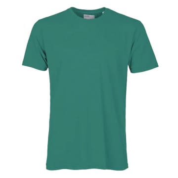 Shop Colorful Standard Classic Organic T-shirt Pine Green