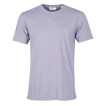 Shop Colorful Standard Classic Organic T-shirt Purple Jade