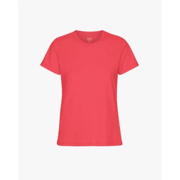 Shop Colorful Standard Light Organic Tee In Red