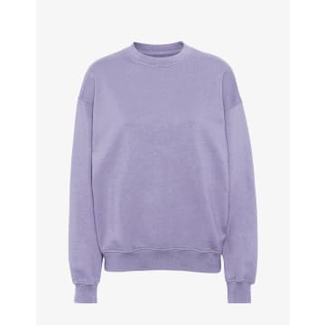 Colorful Standard Purple Jade Organic Cotton Crew Neck Sweatshirt
