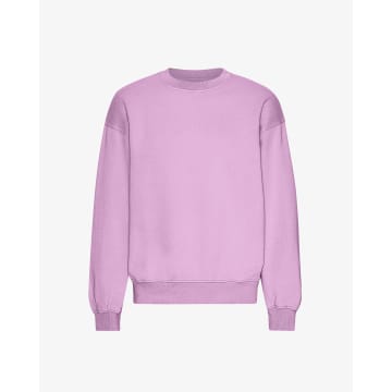 Colorful Standard Cherry Blossom Organic Cotton Crew Neck Sweatshirt In Purple