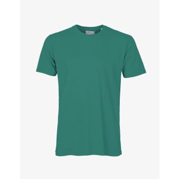 Colorful Standard Pine Green Organic Cotton T Shirt