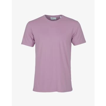 Colorful Standard Pearly Purple Organic Cotton T Shirt