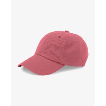Colorful Standard Raspberry Pink Organic Cotton Twill Cap