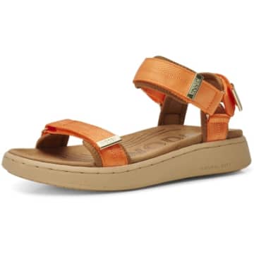 Shop Woden Line Sandals-tiger-wl926
