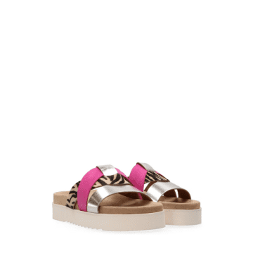 Shop Maruti Bari Leather Sandals In Fuchsia Combi