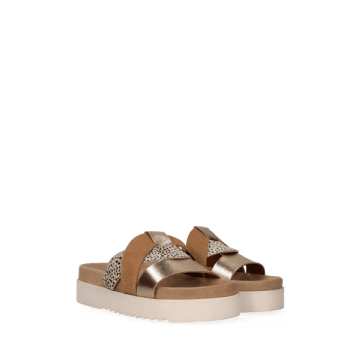 Shop Maruti Bari Leather Sandals In Gold Pixel Off White Sandalwood