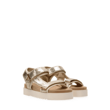 Shop Maruti Beau Leather Sandals In Gold