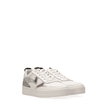 Shop Maruti Mave Leather Trainers In White/silver Pixel Off White