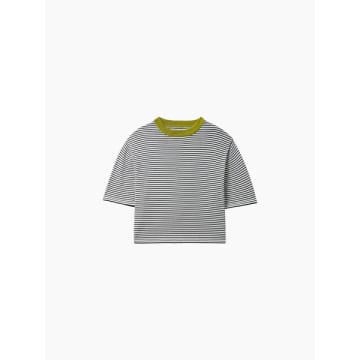 Cordera Cotton Striped T-shirt Lime In Green