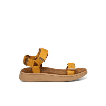 Shop Woden Line Sandal Old Gold