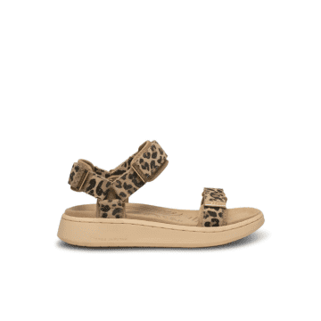 Shop Woden Line Suede Sandal Leopard In Animal Print