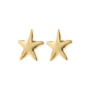 Pilgrim - Force Gold Plated Star Earrings