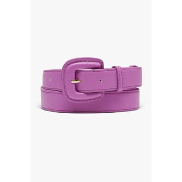 Cks Fashion 85cm Purple Narrow Belt