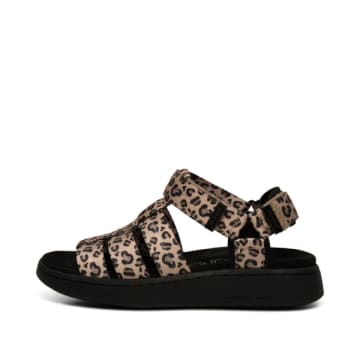 Every Thing We Wear Woden Line Fisherman Leopard Sandals In Animal Print