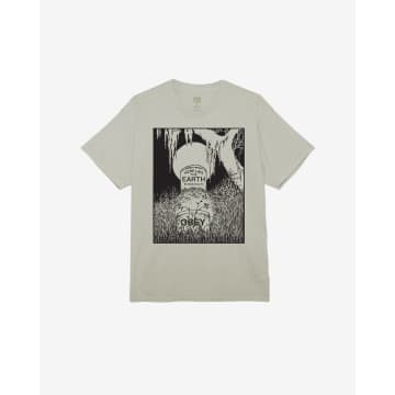 Shop Obey Here Lies The Earth T-shirt In Metallic