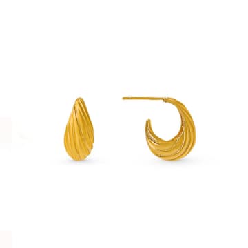 Shop Orelia Tapered Dome Twist Hoop Earrings