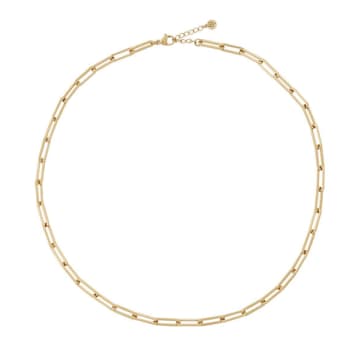 Shop Edblad Ivy Chain Large Link Necklace In 14k Gold Plating On Stainless Steel