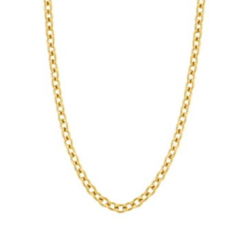 Shop Edblad Loop Necklace In 14k Gold Plating On Stainless Steel