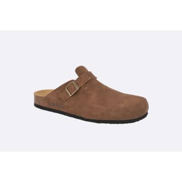Shop Nwhr Natural World Eco Friendly Brown