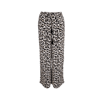 Shop Black Colour Luna Pant In Animal Print