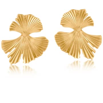 Edit & Oak Ginko Leaf Drop Earrings In Gold