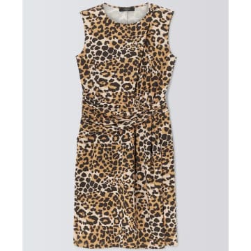 New Arrivals Max Mara Weekend Emblema Leopard Print Dress In Animal Print