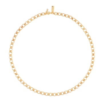 Shop Talis Chains Brooklyn Chain Necklace In Gold