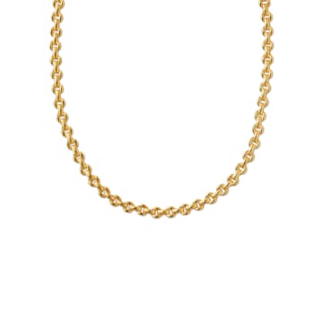 Shop Orelia Heritage Link Chain Necklace