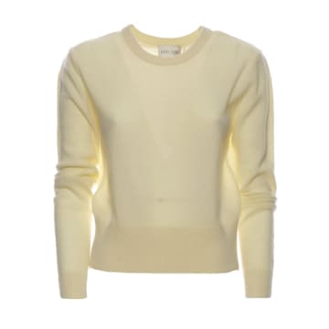 Shop Forte Forte Sweater For Woman 11119 My Knit Vanilla