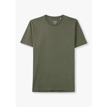 Shop Colorful Standard Mens Classic Organic T-shirt Dusty Olive In Green