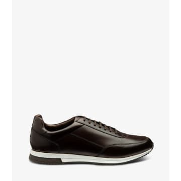 Shop Loake Dark Brown Calf Leather Bannister Trainer Sneakers