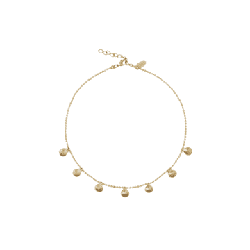 Shop Caroline Svedbom Petite Shell Choker Necklace In Gold