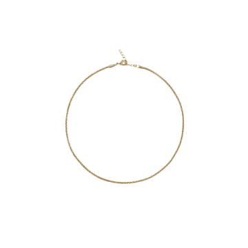 Shop Caroline Svedbom Petite Rope Necklace In Gold