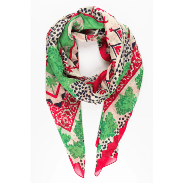 Msh Desert Camel And Palm Tree Print Bordered Cotton Scarf In Green