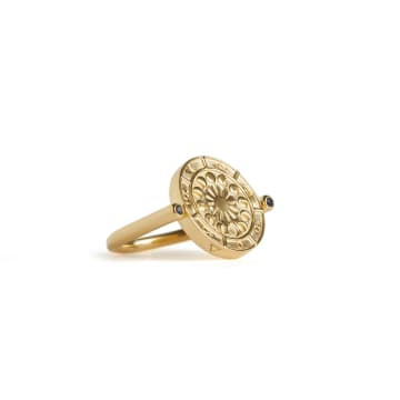 Shop Rachel Entwistle Alchemist's Spinning Ring Gold With Black Sapphires