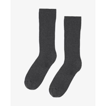 Colorful Standard Classic Organic Socks Lava Grey In Gray