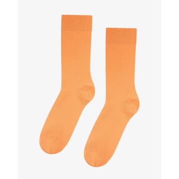 Colorful Standard Classic Organic Socks Sandstone Orange