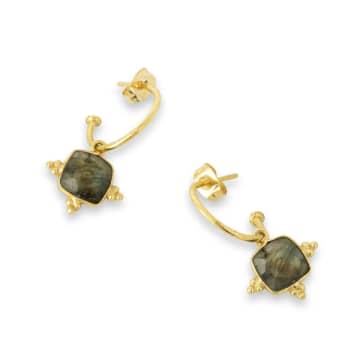 Ashiana Asia Labradorite Earrings In Gold