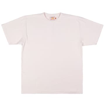 Sunray Sportswear Haleiwa T-shirt Mauve Chalk In Pink