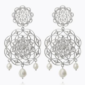 Shop Caroline Svedbom 'gardenia Pearl' Earrings