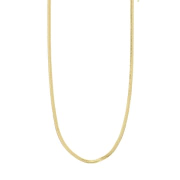 Shop Pilgrim Joanna Recycled Flat Snake Chain Necklace Gold-plated