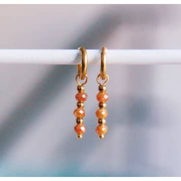 Bazou Stainless Steel Hoop Earrings With Facets In Gold