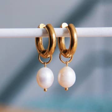 Bazou Steel Wide Earring With Xl Freshwater Pearl In Gold