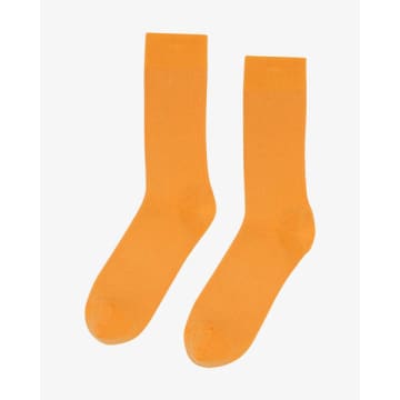 Colorful Standard Classic Organic Socks Sunny Orange